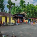 Sacred Traditions: Ayilyam Festival at Vettikode Nagaraja Temple 2026